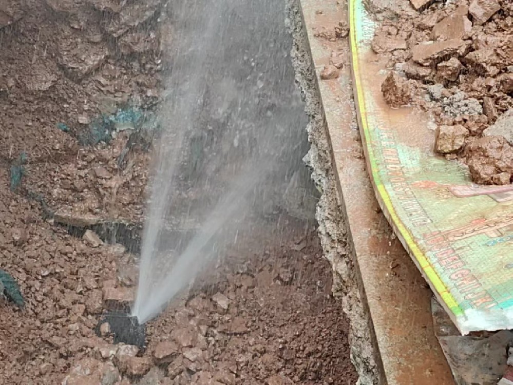 消防水管漏水检测定点开挖哪家好-察雅